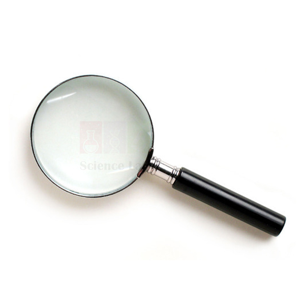 Magnifier, Reading